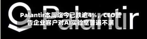 Palantir本周迄今已跌逾4%，CEO警告企业客户对AI实验室普遍不满