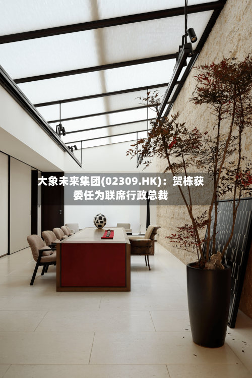 大象未来集团(02309.HK):贺栋获委任为联席行政总裁