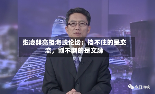 张凌赫亮相海峡论坛：挡不住的是交流	，割不断的是文脉-第2张图片