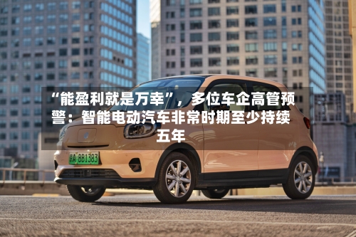 “能盈利就是万幸”，多位车企高管预警：智能电动汽车非常时期至少持续五年-第3张图片