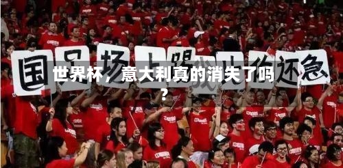 世界杯	，意大利真的消失了吗？-第2张图片