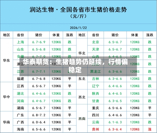 华泰期货：生猪趋势仍延续	，行情偏稳定-第3张图片