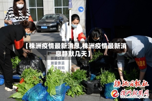 【株洲疫情最新消息,株洲疫情最新消息静默几天】-第1张图片